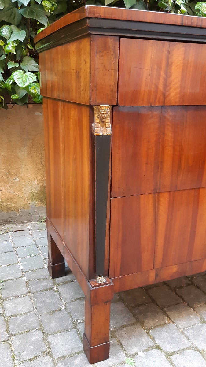 Cassettone Impero antico con Sfingi - immagine 9